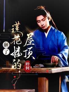 莲花楼同期上映的电视剧