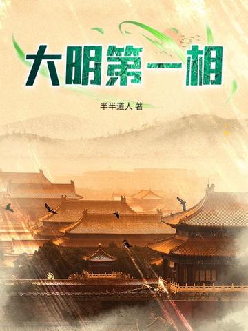 大明第一帅的小说有哪些